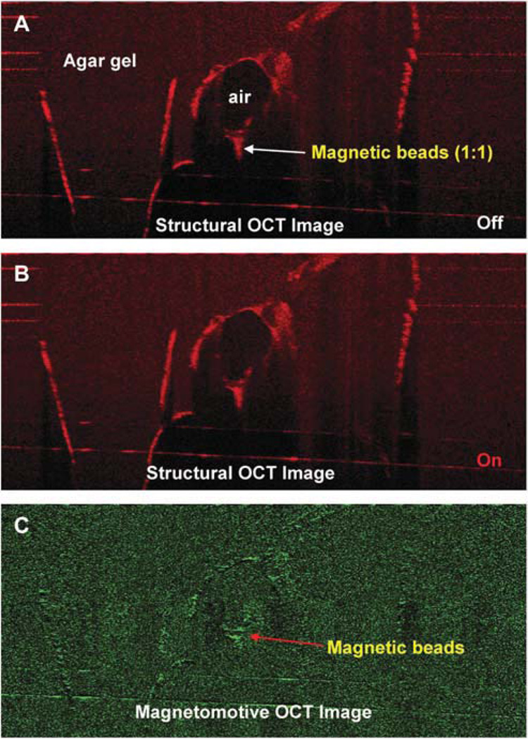 FIG. 3