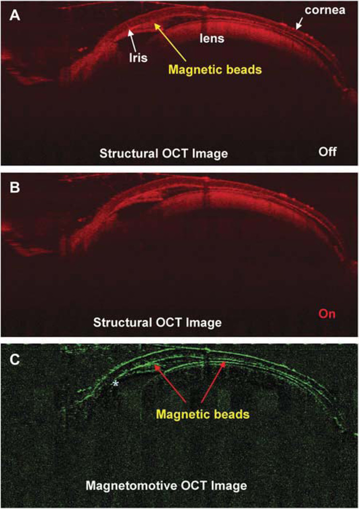 FIG. 7