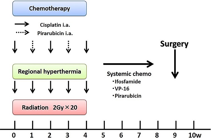 Fig 2