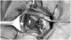 FIG 2.