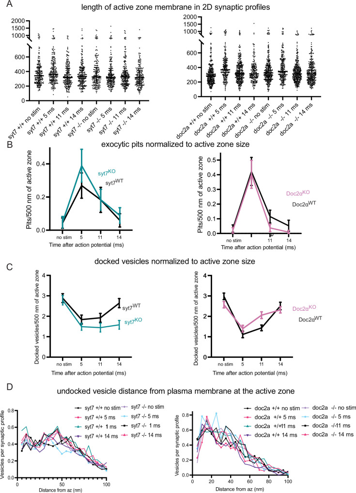 Figure 5—figure supplement 2.