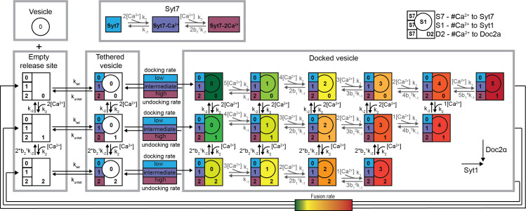 Figure 7—figure supplement 1.