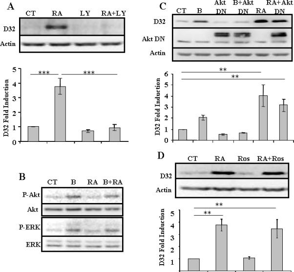 Fig.2