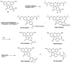 Scheme 3