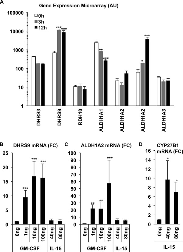 FIG 2