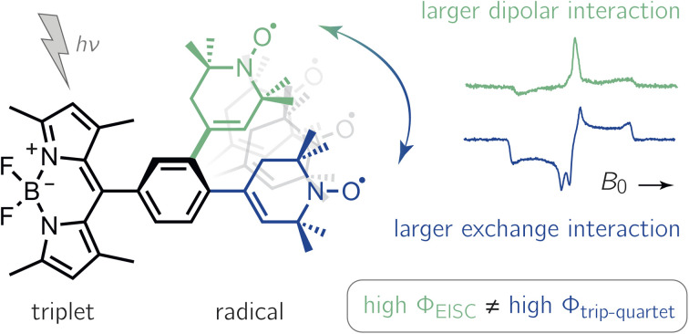 graphic file with name d3sc00589e-ga.jpg