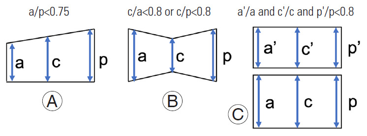 Fig. 1.