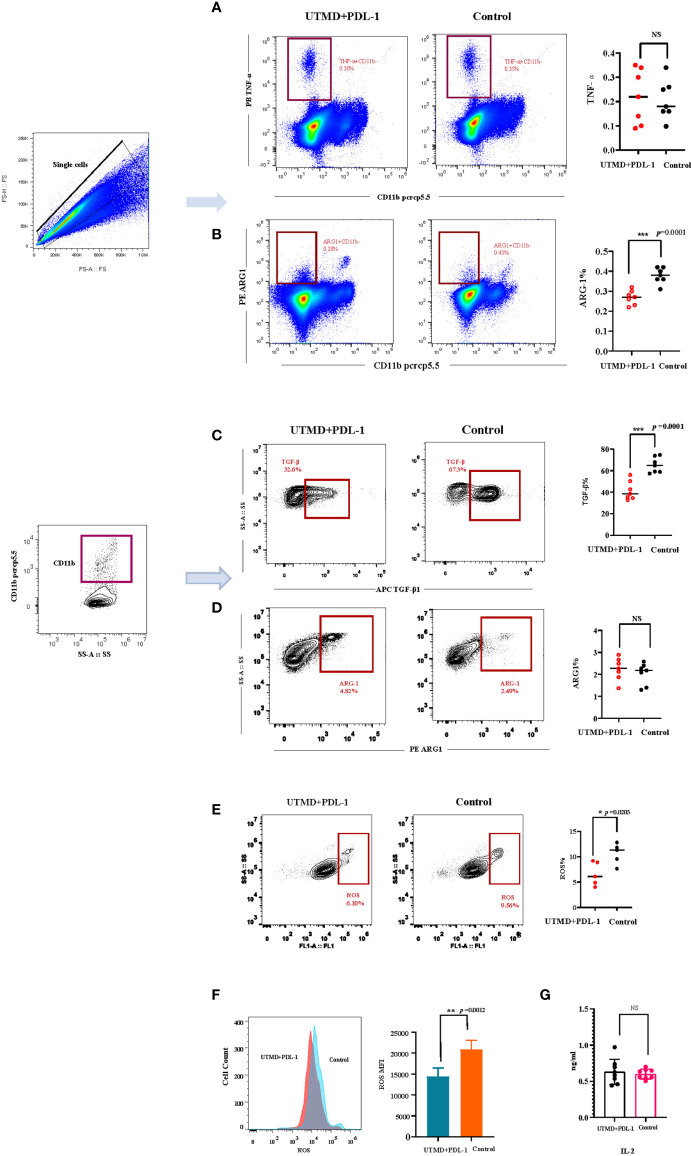 Figure 6