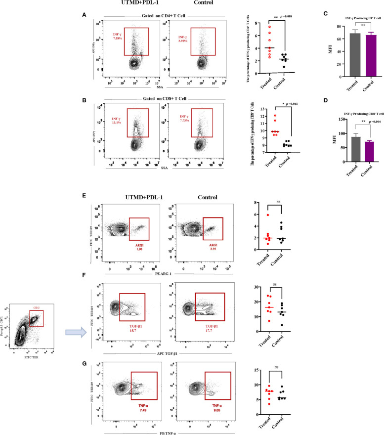 Figure 5