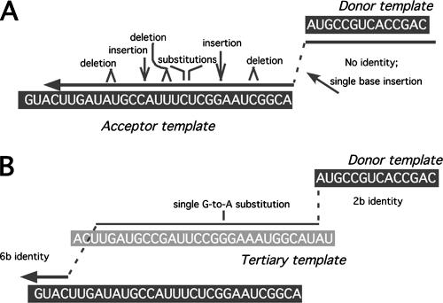 FIG. 7.