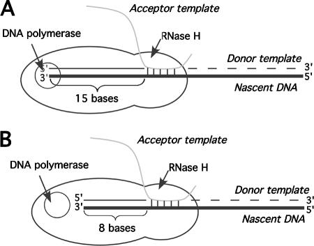 FIG. 9.