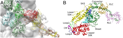 Fig. 1.