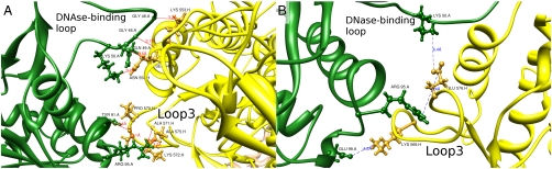 Fig. 8.