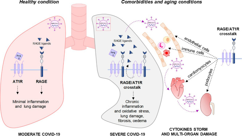 Unlabelled Image