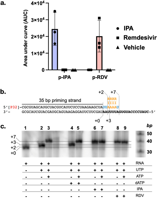 FIG 3