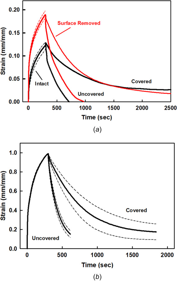 Intact specimens for static creep strain and covered and uncovered recovery. (a) Single specimen (#25-01) with repeated tests for static creep (n = 5) and covered (n = 3) and uncovered (n = 2) recovery. Thickness h = 1.20 mm, water content β = 78.7%, and PG content = 2.9%. (b) Multiple specimens (N = 4) with repeated tests for static creep (n = 19) and covered (n = 10) and uncovered (n = 9) recovery. h = 1.26±0.23 mm, β = 77.1±1.2%, and PG = 3.2±0.7%. Mean (solid) ± SEM (dashed).