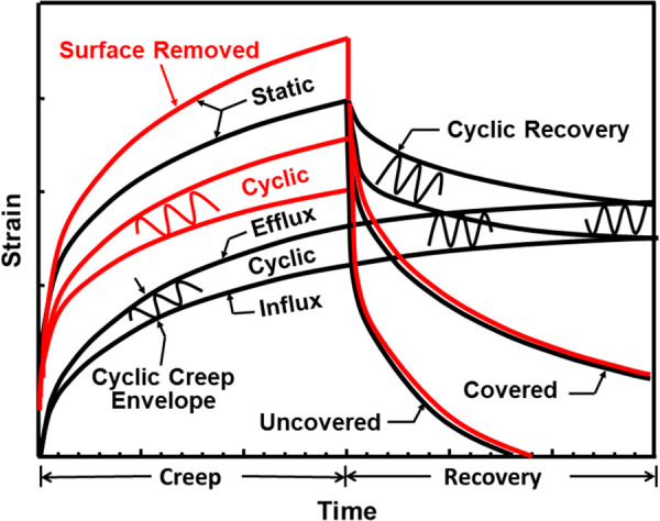 Schematic illustration of the different creep responses for intact and surface removed articular cartilage during static (RMS) and cyclic (P–P) creep loading. The width of the cyclic creep envelope represents the net loss of interstitial fluid on each cycle (efflux–influx > 0). Surface removal increases the efflux of interstitial fluid and static and cyclic ECM deformation. Completely removing the load from the articular surface (uncovered) increases the rate of tissue swelling compared to that of covering the surface (covered) for both the static and cyclic recovery. Included are the results from a previous study [42] for the cyclic recovery response when a static (RMS) creep load was replaced by a cyclic (P–P) load; note that the cyclic recovery strain (swelling) reaches that of the cyclic creep strain.