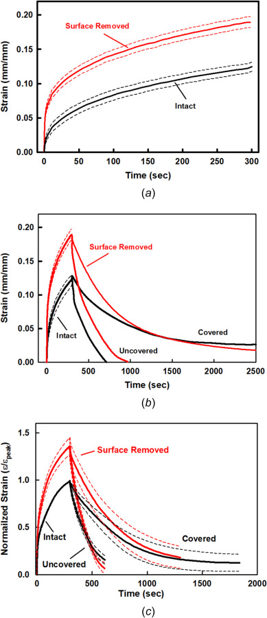 Intact and surface-removed specimens for static creep strain and covered and uncovered recovery. Single specimen (#28-03) with repeated tests for (a) intact (n = 2) and surface removed (n = 4) static creep strain, and (b) covered (n = 2 and 1) and uncovered (n = 1 and 2) recovery. Insert (a) shows static and cyclic maximum strain εmax for 0–20 s. h = 1.50 mm, β = 76.2%, and PG = 2.3%, surface removed Δh = 139 μm (7.3%). (c) Normalized creep strain for paired intact and surface-removed specimens (N = 3) with repeated tests (n = 9 and 6),and covered (n = 4 and 3) and uncovered (n = 4 and 3) recovery. h = 1.28 ± 0.28 mm, β = 76.5 ± 0.6%, PG = 3.3 ± 0.9%, and Δh = 130 ± 46 μm (10.7 ± 3.6%). Mean (solid) ± SEM (dashed).