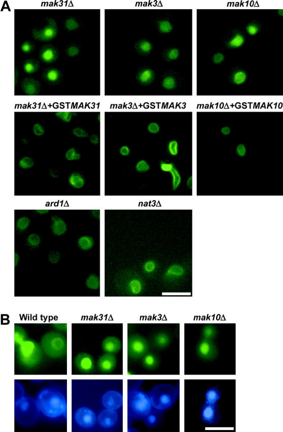 Figure 2.—