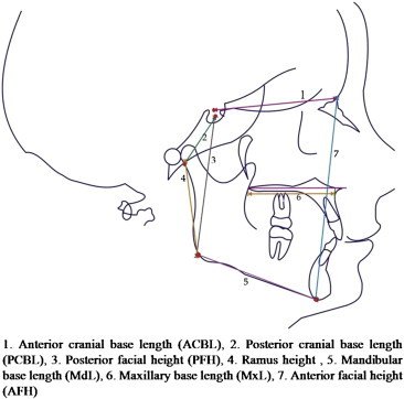 Fig. 3