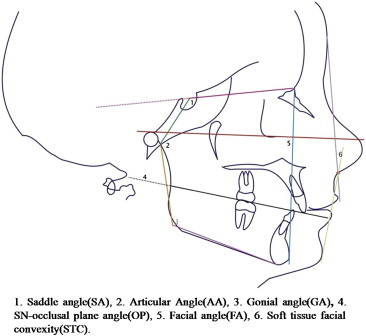 Fig. 6