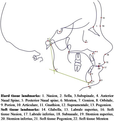 Fig. 1