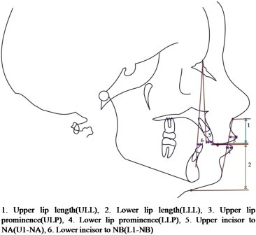 Fig. 4