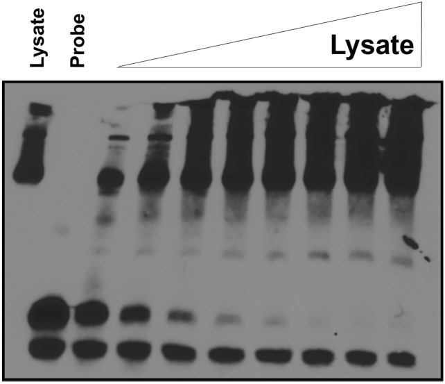 Fig. S3.