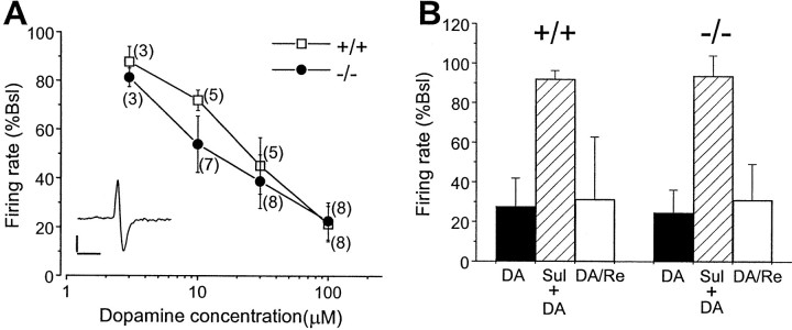 Fig. 11.