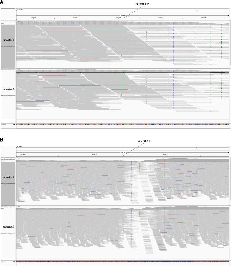 Figure 5—figure supplement 2.