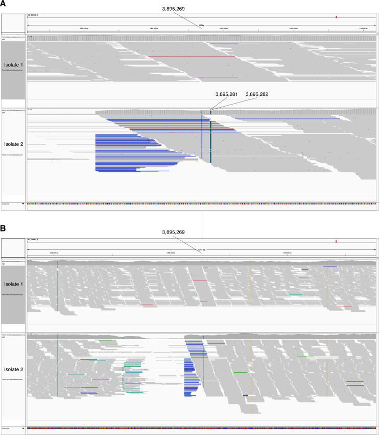 Figure 5—figure supplement 3.