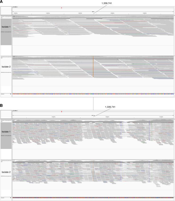 Figure 5—figure supplement 1.