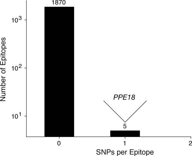 Figure 6—figure supplement 2.