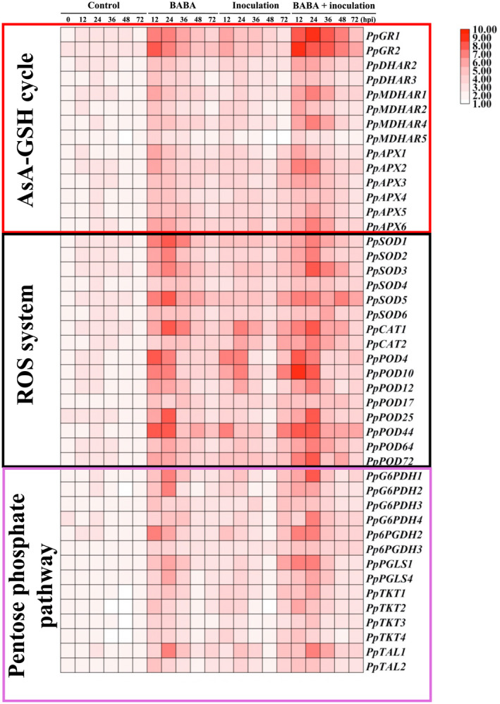 FIGURE 2