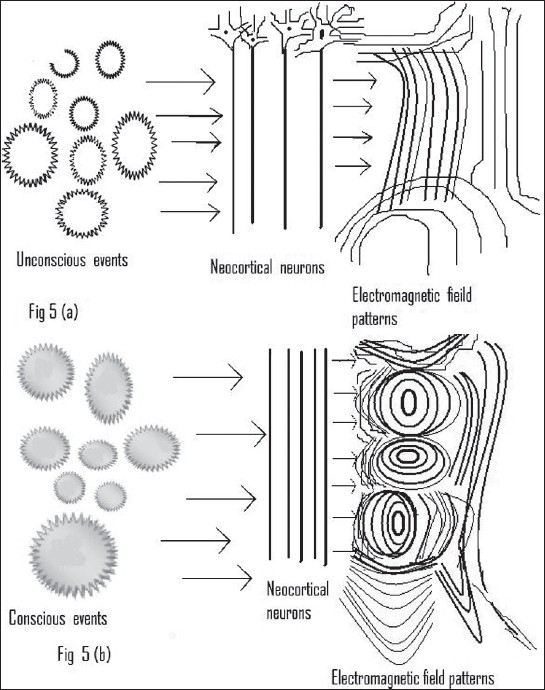 Figure 5A and B