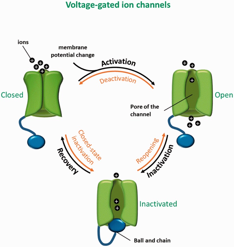 Figure 1.