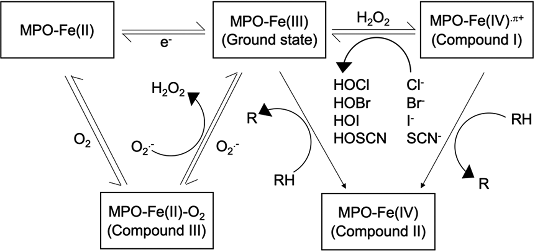 Figure 1: