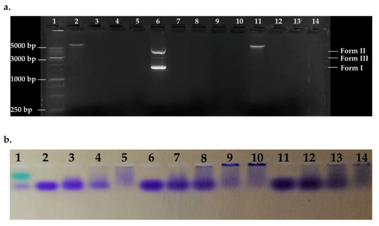 Figure 5