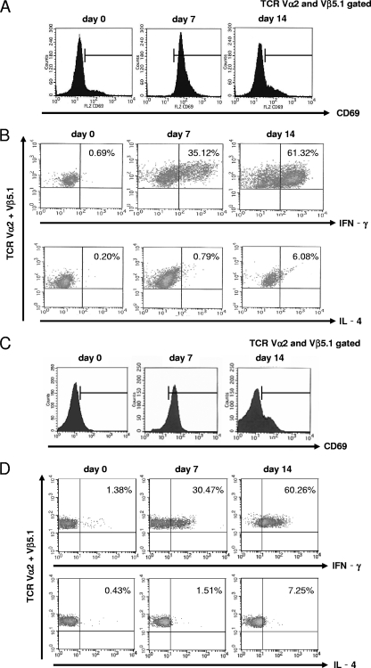 FIG. 4.