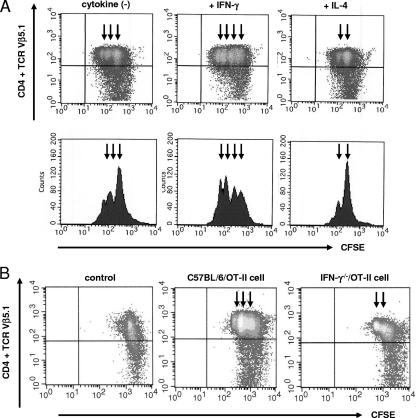 FIG. 6.