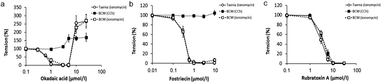 Fig. 5.