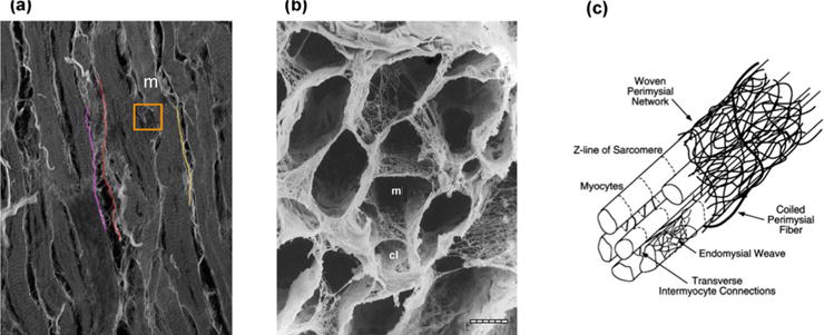 FIG. 12