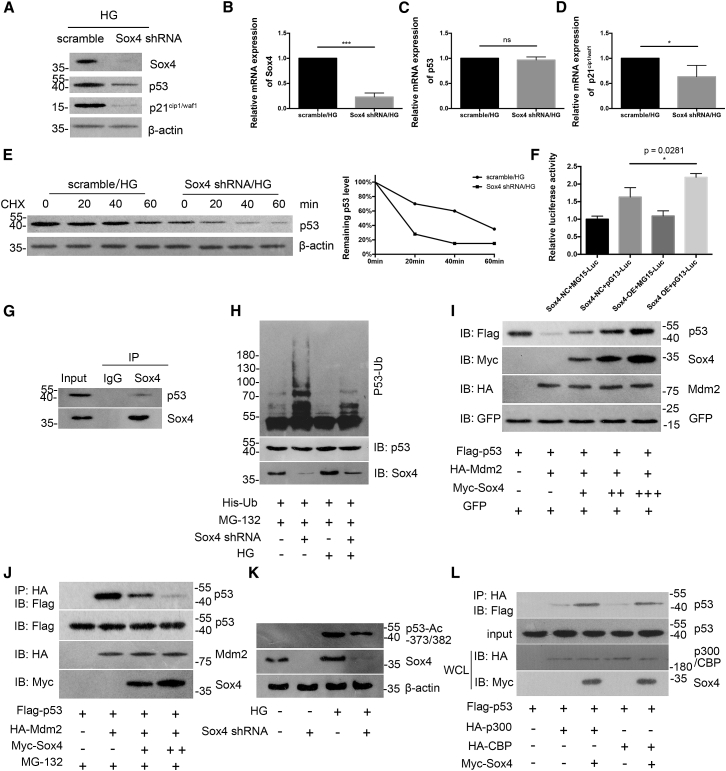 Figure 6