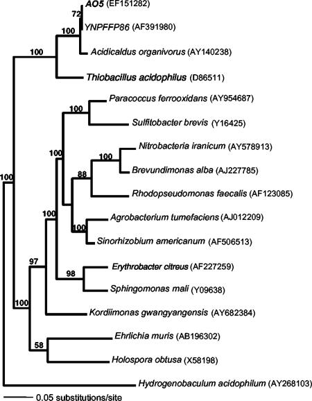 FIG. 5.