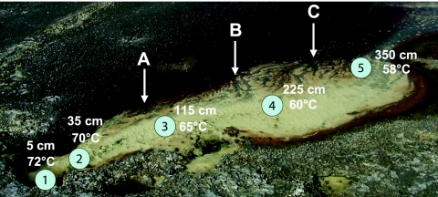 FIG. 1.