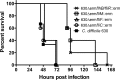 Fig 7