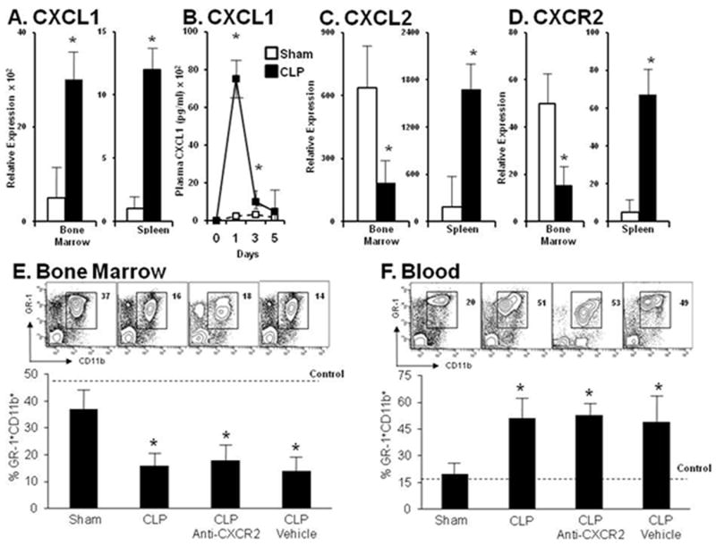 Neutrophil Mobilization from the Bone Marrow During Polymicrobial ...