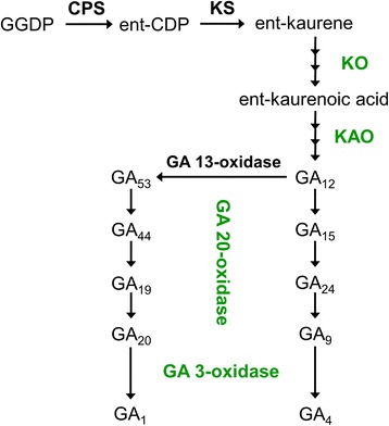 Fig. 9