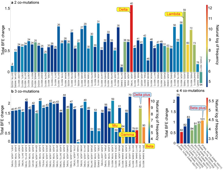 Figure 2: