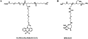 Fig. 15